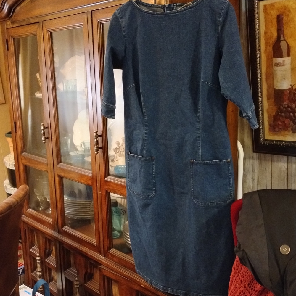 Liz Claiborne Jean Dress (8)